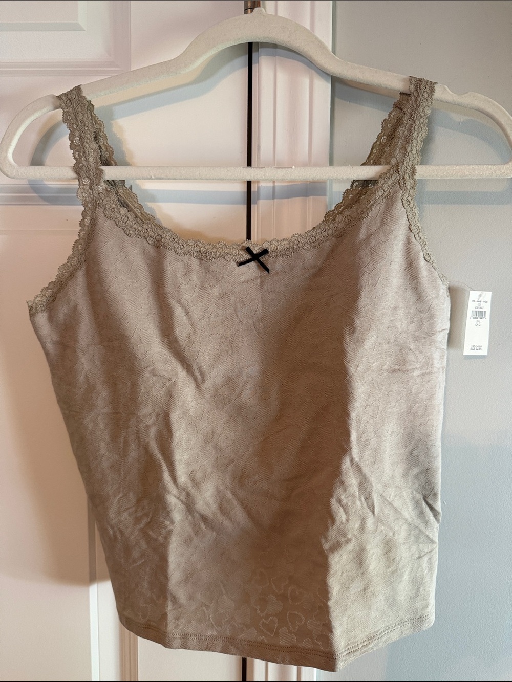 aerie Lace-Trim Tank Top in Taupe